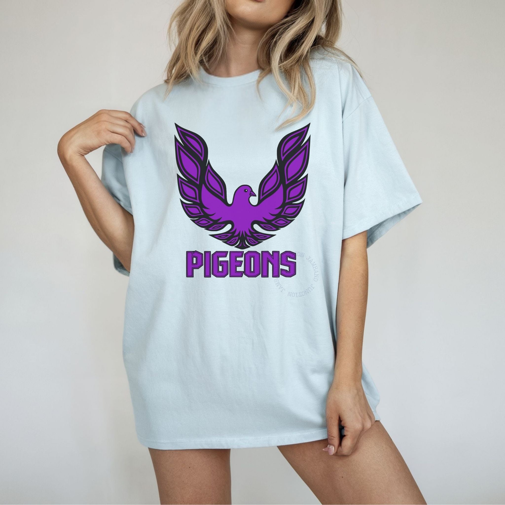 Pigeons | Widespread Panic Inspired Shakedown Style T-Shirt