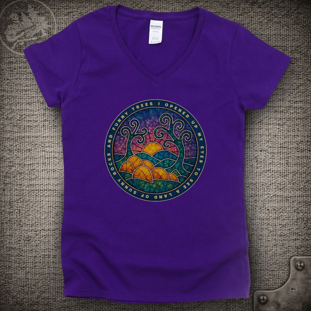 Porch Song | Widespread Panic Shakedown Lot Style Ladies V-Neck Tee